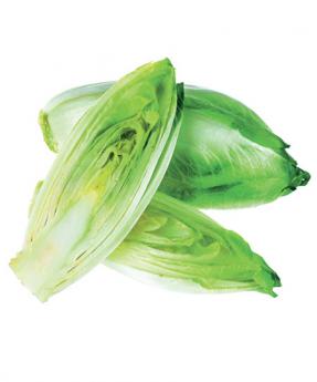 Цикорий снижает иммунотоксическое действие алкоголя