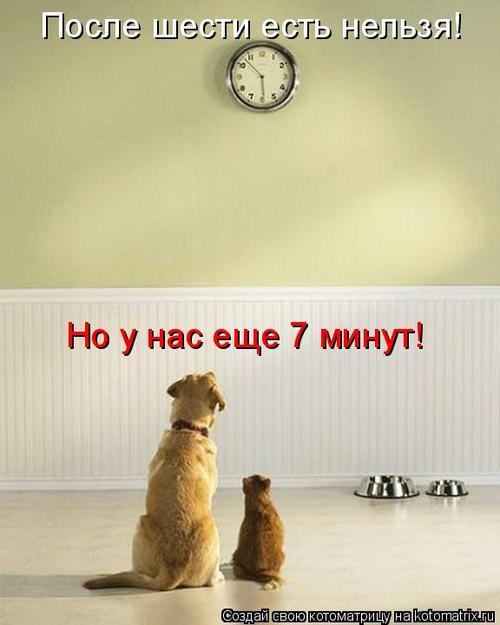 Я очень хочу похудеть на 10 кг